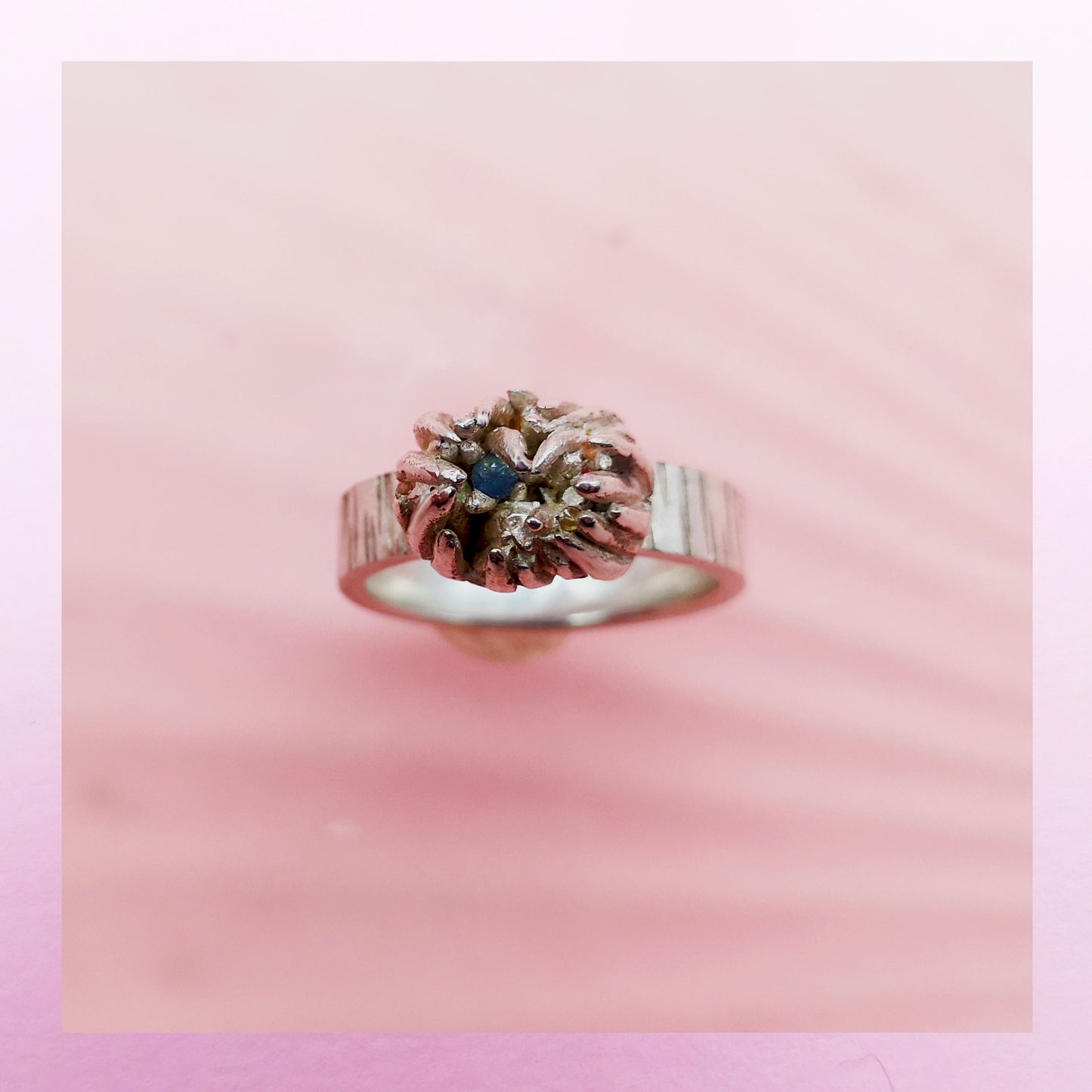 hundred and thousands sea anemone rings