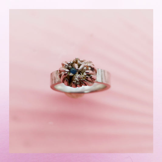hundred and thousands sea anemone rings