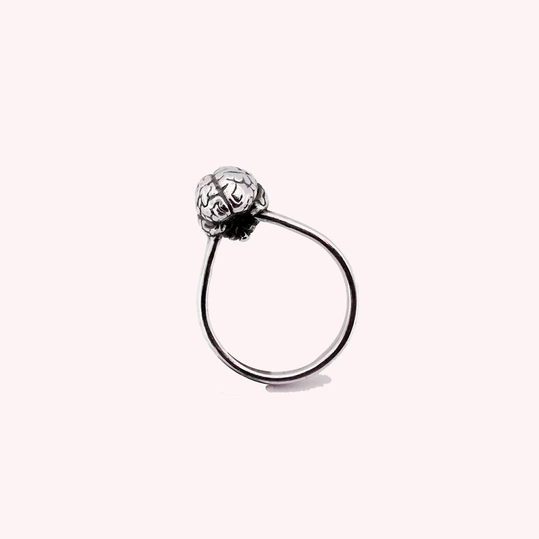 Anatomy Brain Ring