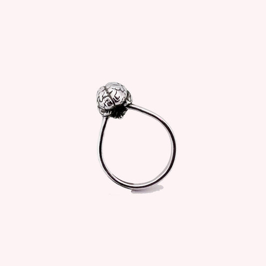 Anatomy Brain Ring