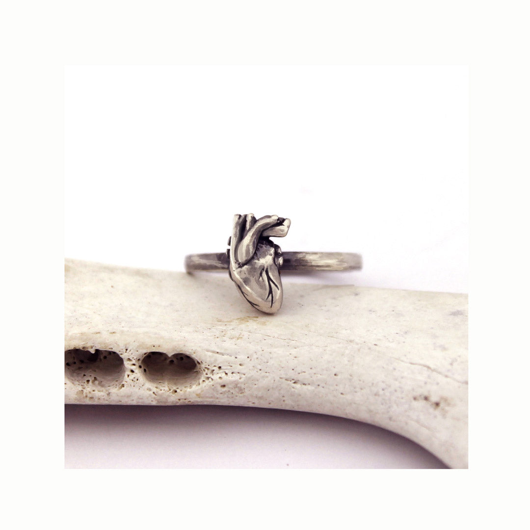 Anatomy Heart Ring