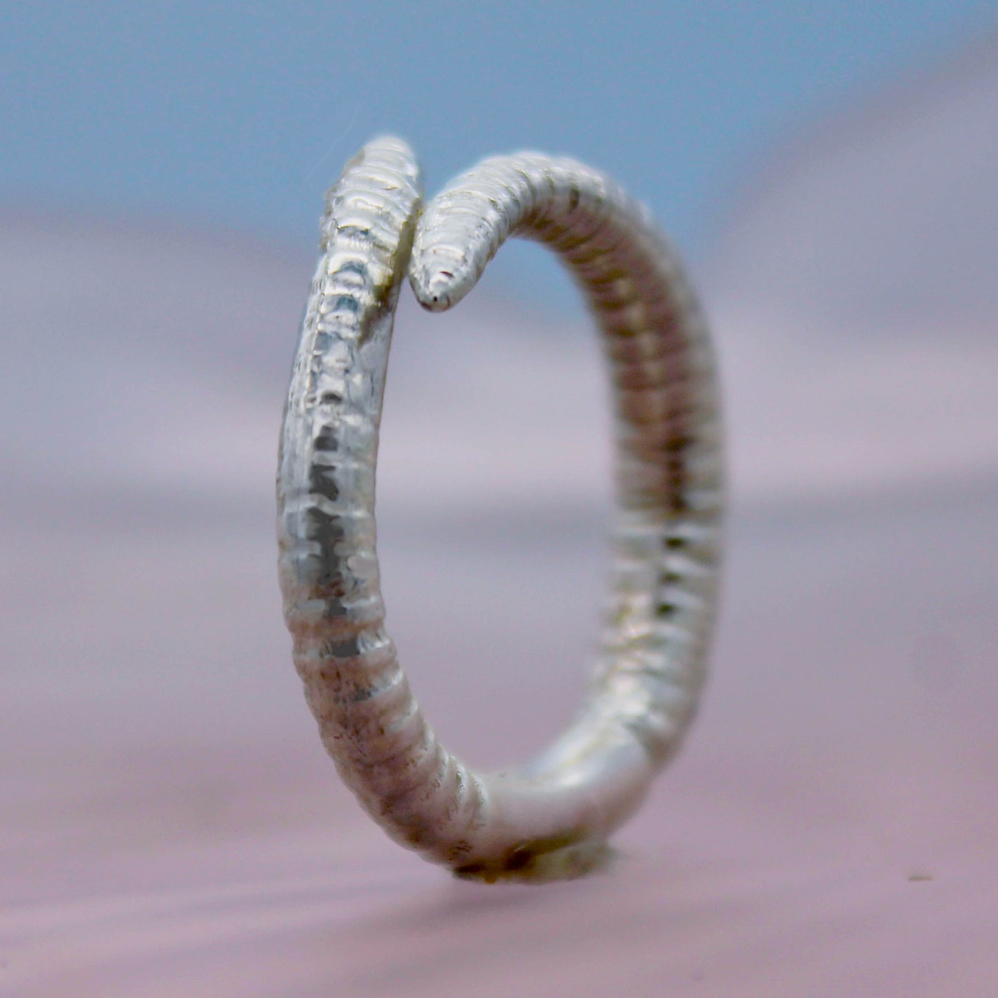 Snug Hug Worm